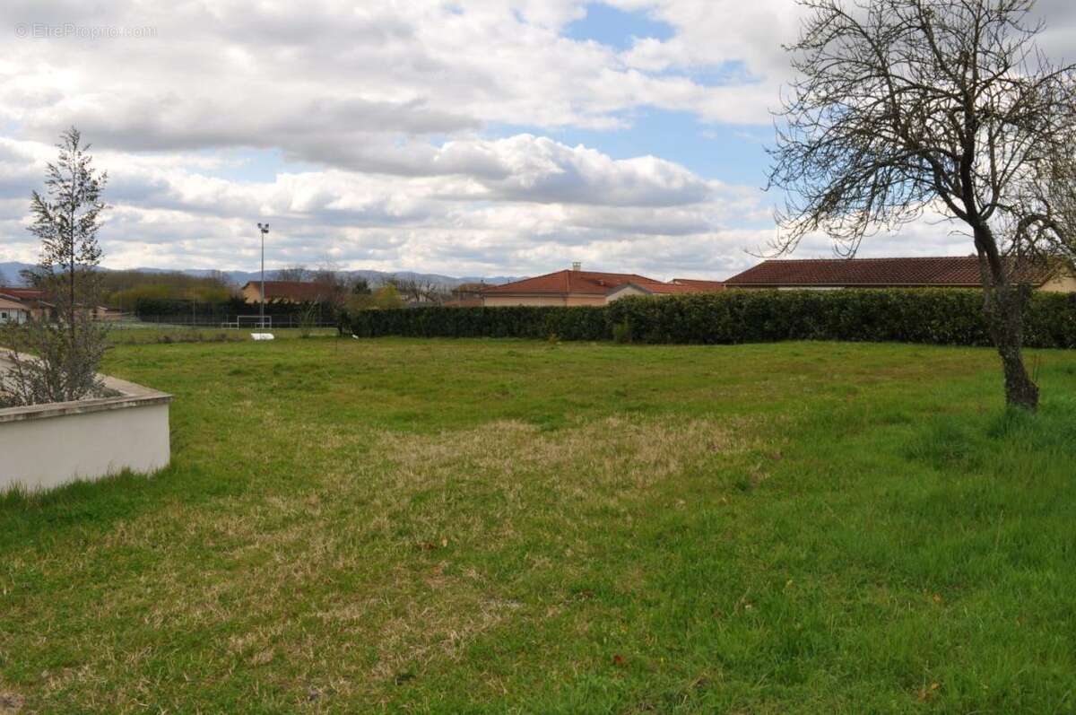 Terrain à MONTMERLE-SUR-SAONE