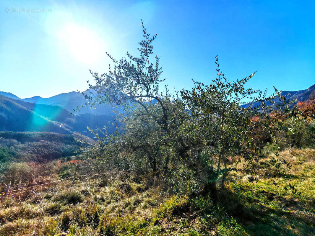 Photo 5 - Autre à LANTOSQUE