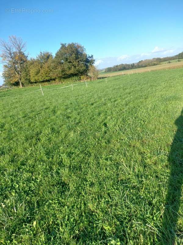 Terrain à BEAUMONT-EN-BEINE