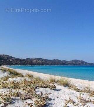 Appartement à SAN-MARTINO-DI-LOTA