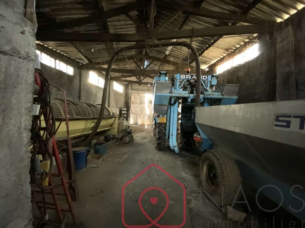 Commerce à MOUZILLON