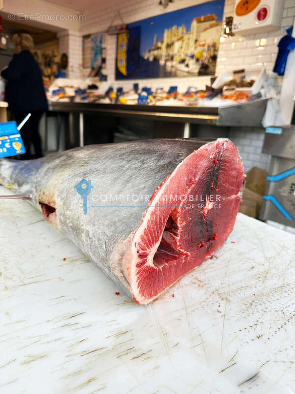 Rare opportunité   Fonds de commerce de poissonnerie historique au Grau-du-Roi - photo 6