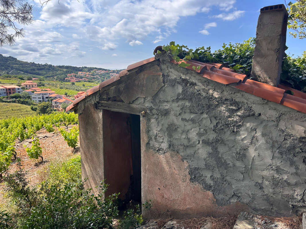 Vigne à vendre sur Collioure à 99 000€ et 10370m2 - photo 6