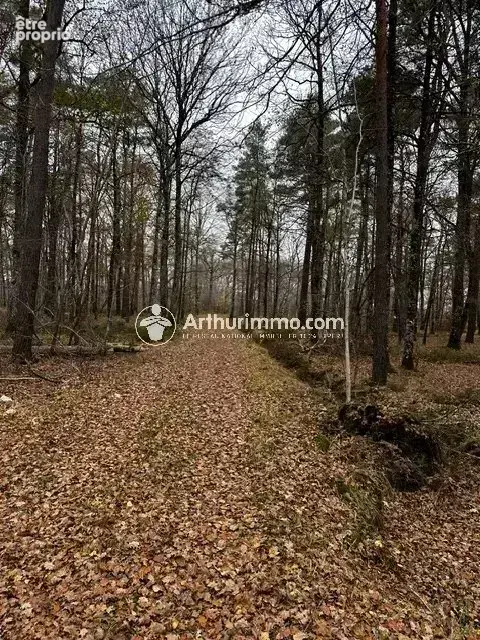 Domaine de Chasse ou Ferme équestre - photo 2