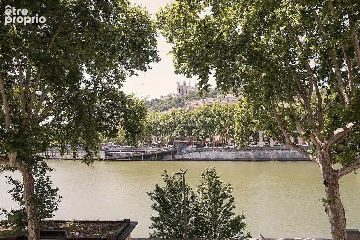 Appartement Familial / Activité professionnelle vue sur la Saône et Fourvière - photo 3