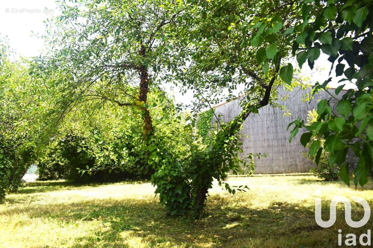 Photo 2 - Maison à SAINT-PIERRE-D&#039;OLERON