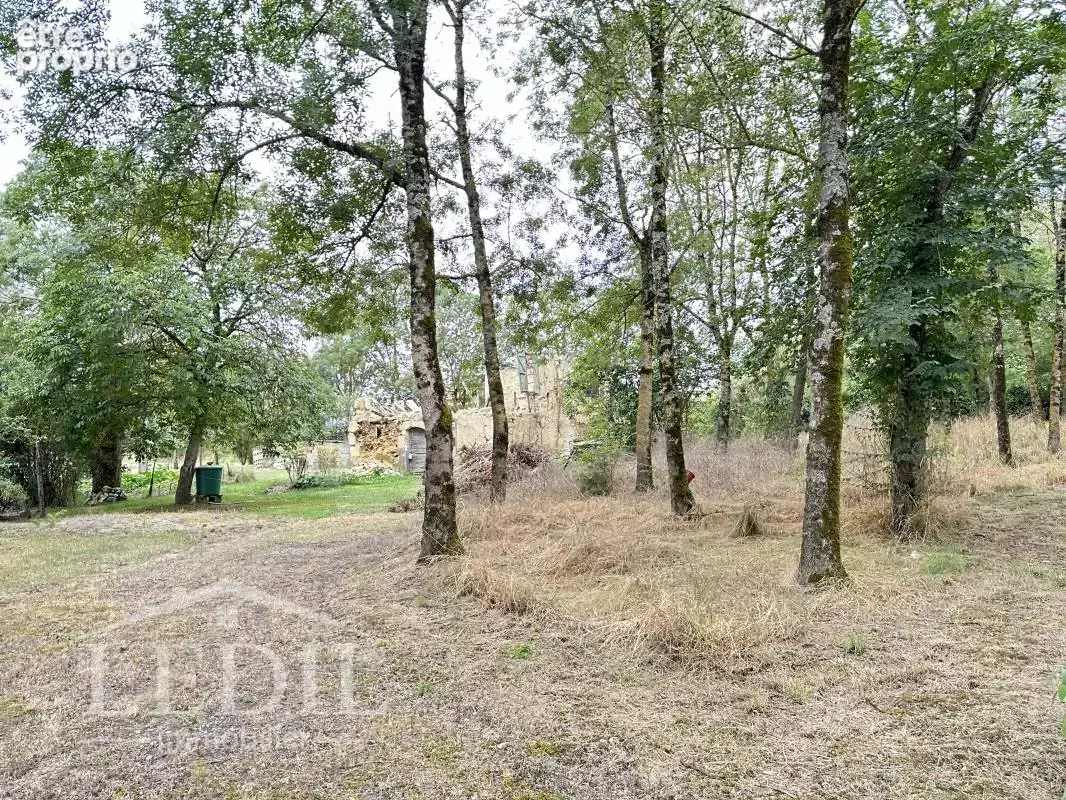 Magnifique terrain dans un milieu boisé - photo 7