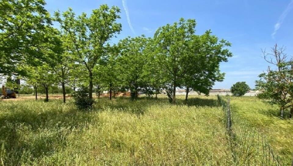 Terrain à VILLEGAILHENC