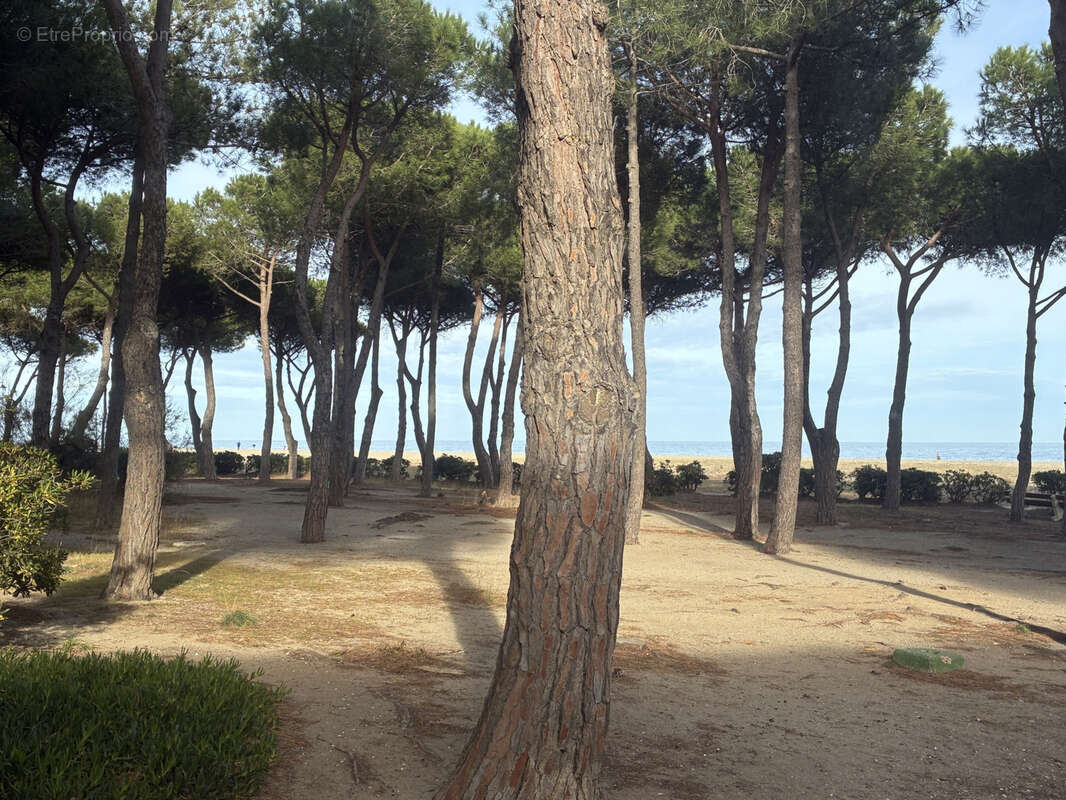 Appartement à ARGELES-SUR-MER