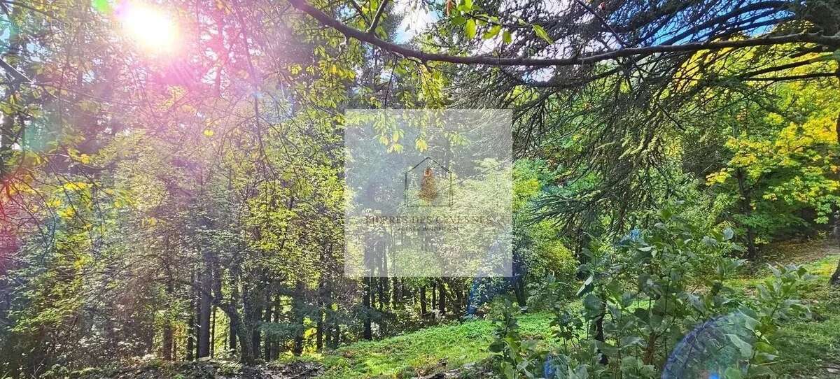 Maison à SAINT-MICHEL-DE-DEZE