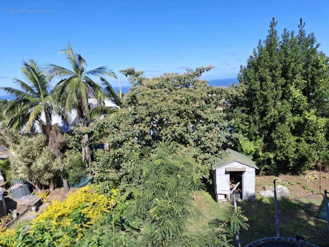 Terrain à SAINT-LOUIS