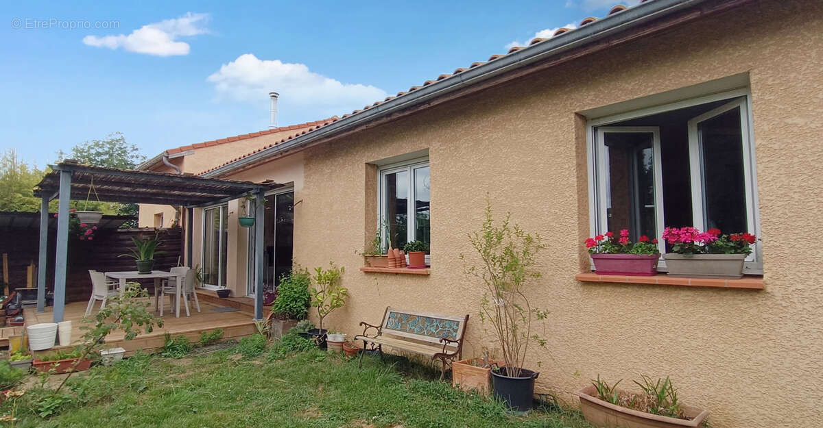 Maison à MONTESQUIEU-VOLVESTRE
