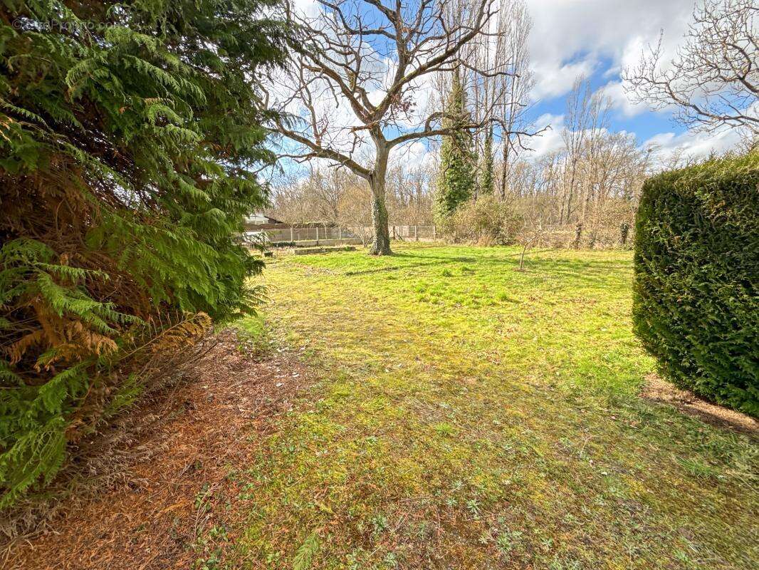  Exclusivité : Plain-pied sur sous-sol complet et grand terrain arboré  - photo 8