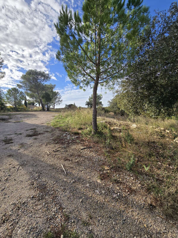 Terrain à COMBAILLAUX