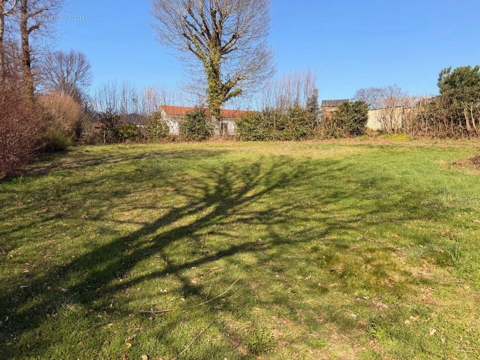 Terrain à SANSAC-DE-MARMIESSE