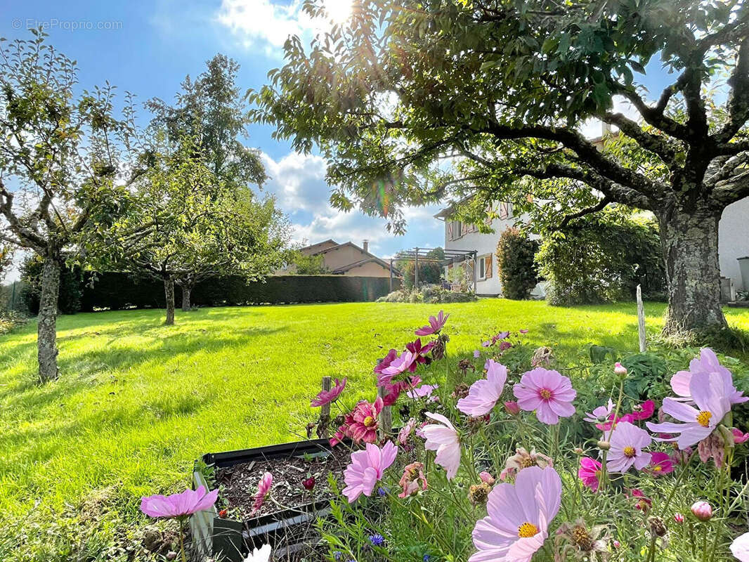 Maison à LES EPARRES