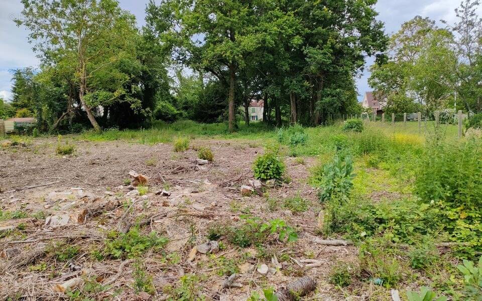 Terrain à ETREPILLY