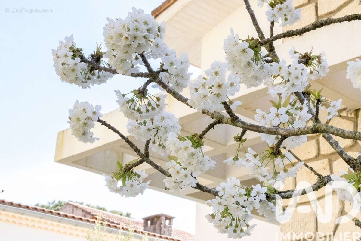 Photo 2 - Maison à ROYAN