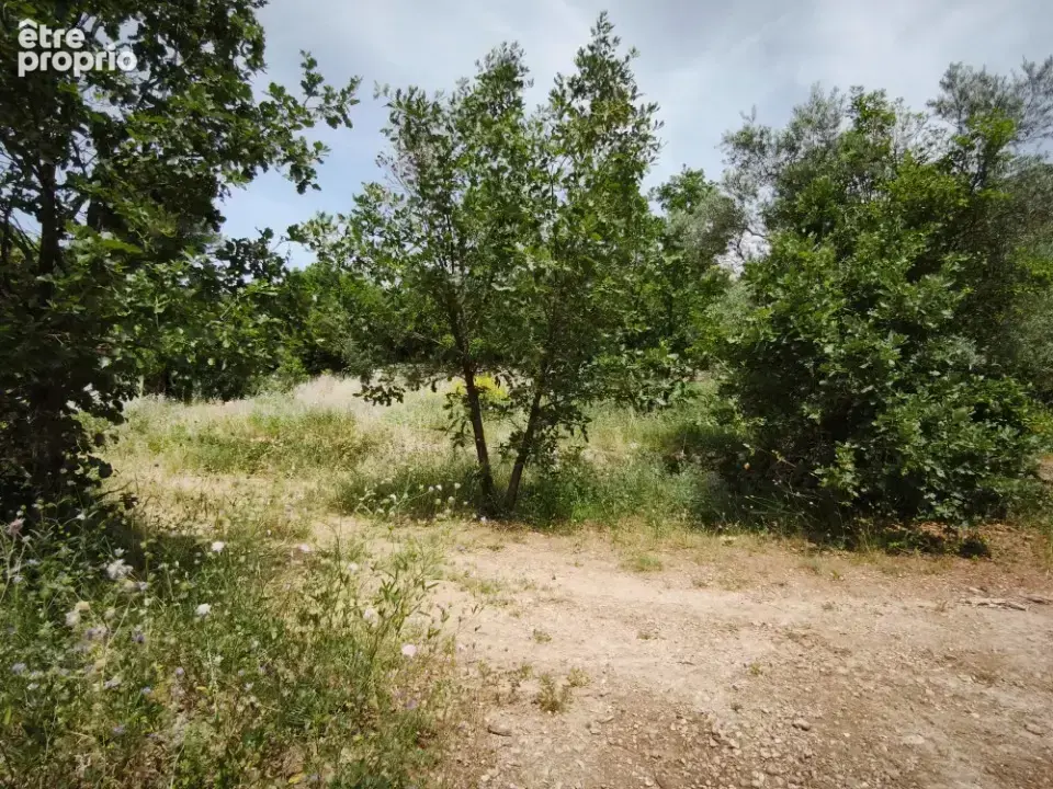 Terrain 1 017 m² à vendre à Belgentier (83210) - photo 4