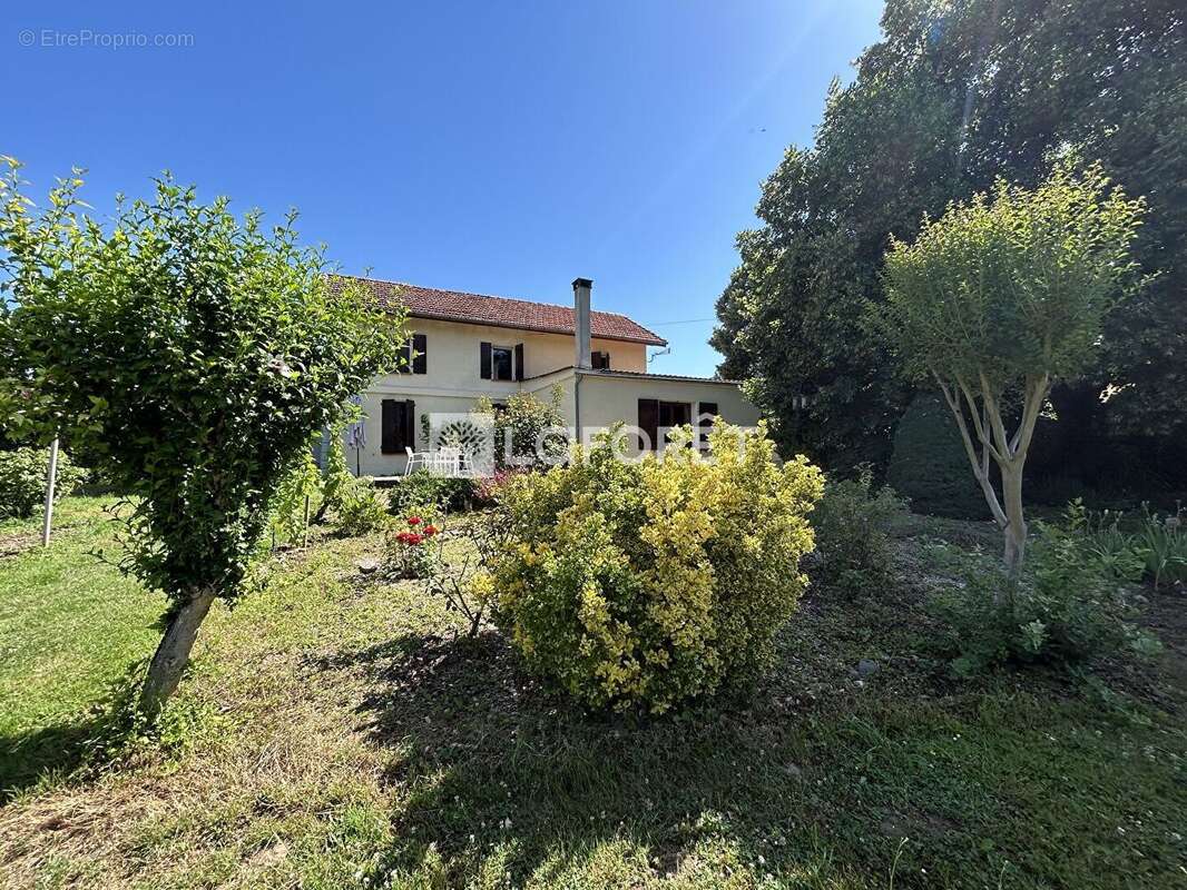 Maison Lizac 5 pièce(s) 172.11 m2 - photo 2