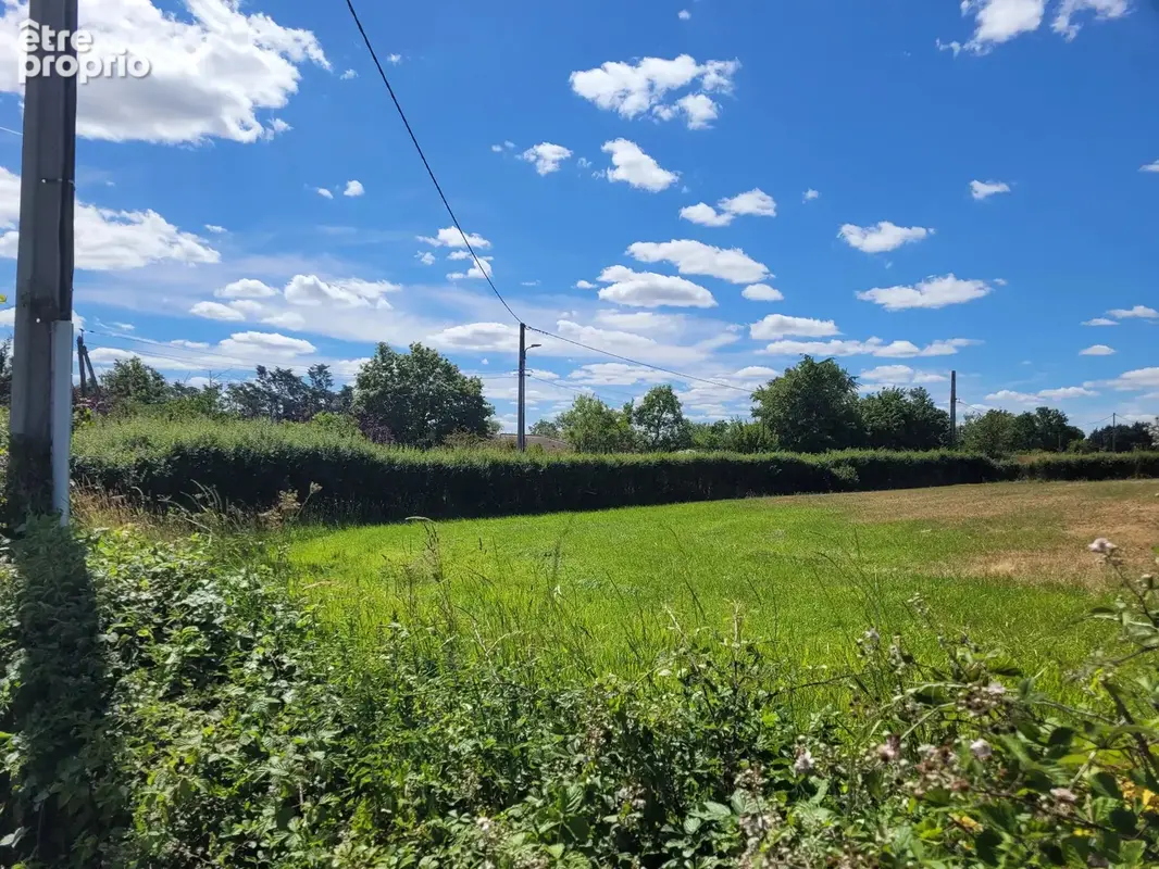 Terrain plat constructible de 3 500 m² à Chantelle - photo 6