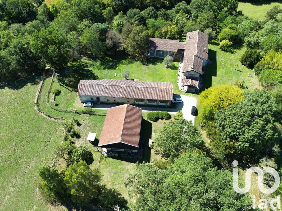 Photo 2 - Maison à REVEL