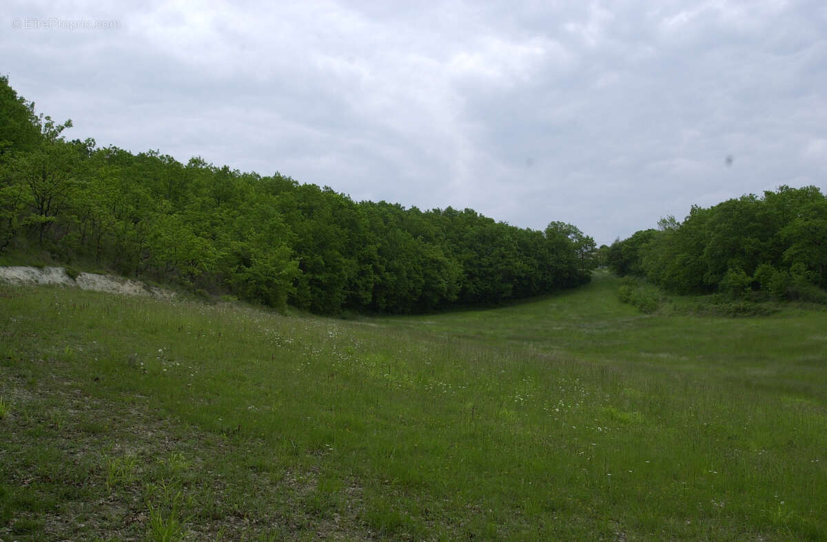 Ancienne ferme avec bois et prairies - photo 10