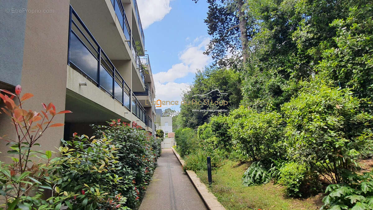Appartement à MONTPELLIER