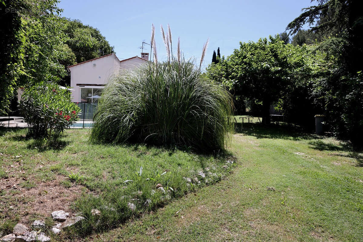 Ventabren à 15 Mn d'Aix en Provence belle villa rénovée avec piscine  coeur de village avec piscine potentiel - photo 4