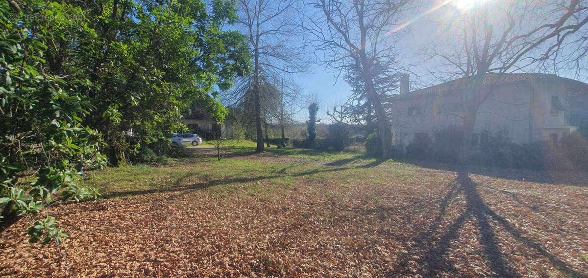 SAINT EULALIE - Belle Maison de 350m2 sur 3000m2 de terrain - photo 2