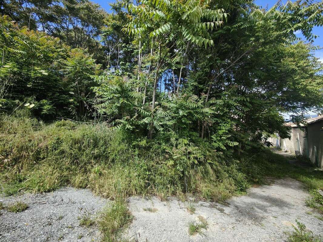 Maison à PUIMOISSON