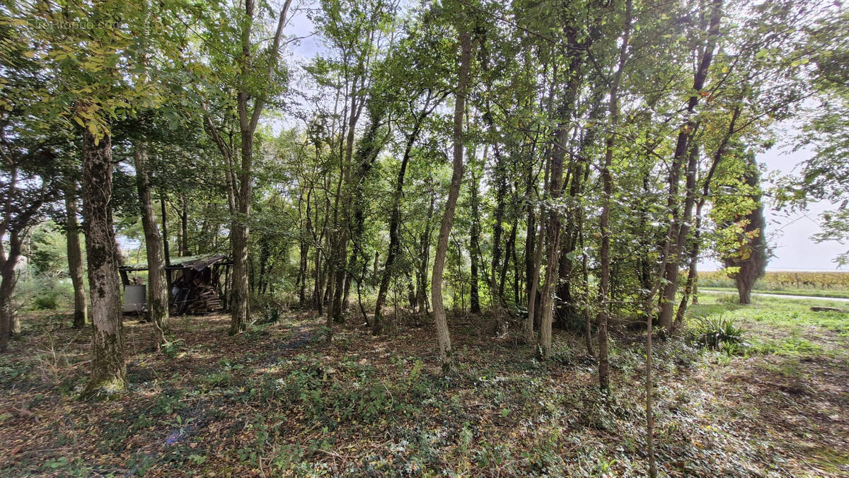 Terrain à CHENAC-SAINT-SEURIN-D&#039;UZET