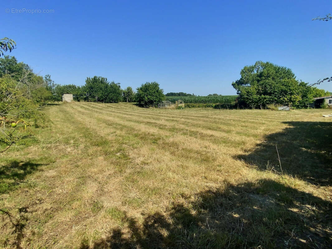 À Muron, maison avec terrasse à acheter avec GM IMMOBILIER - photo 5