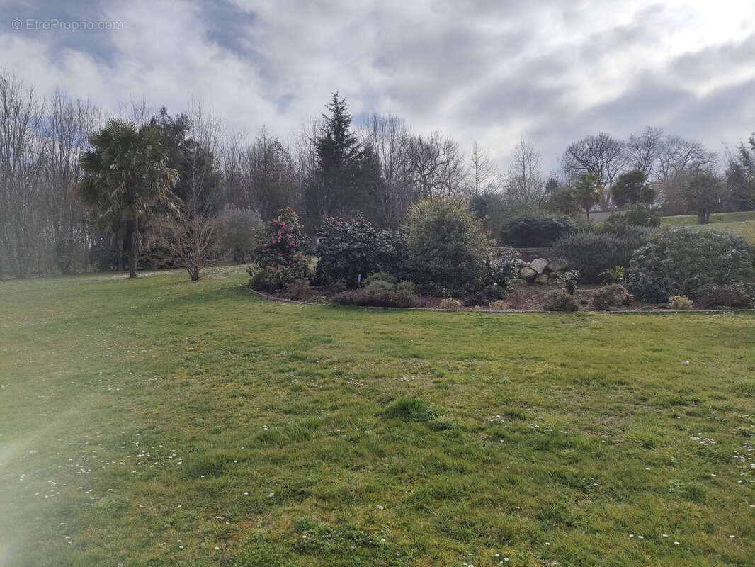 Maison à CAUPENNE-D&#039;ARMAGNAC