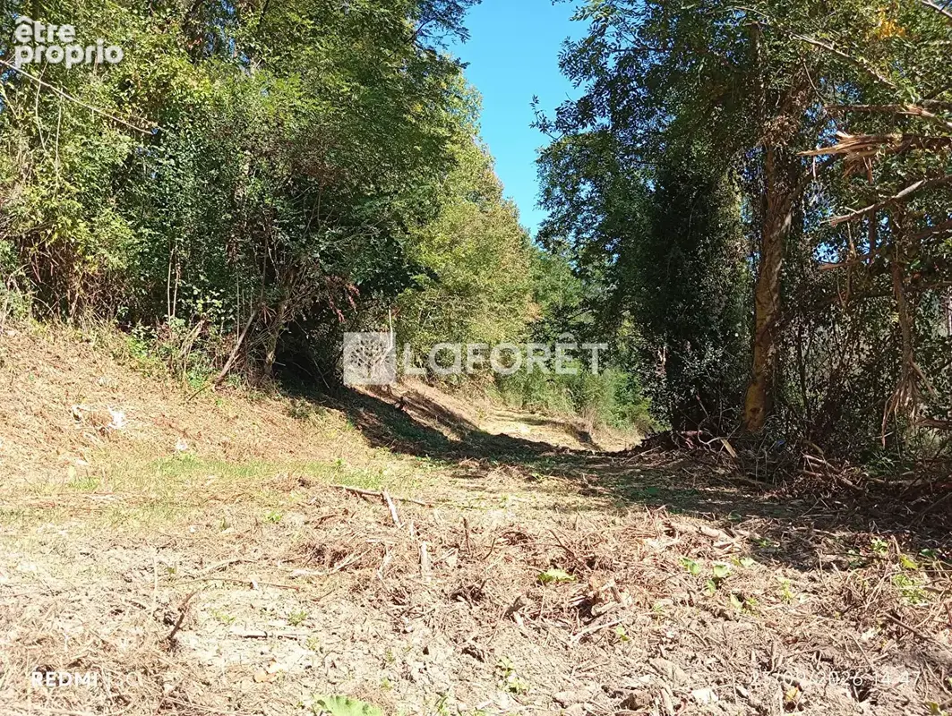 Ancien camping / 2,15 ha - prats de mollo - photo 7