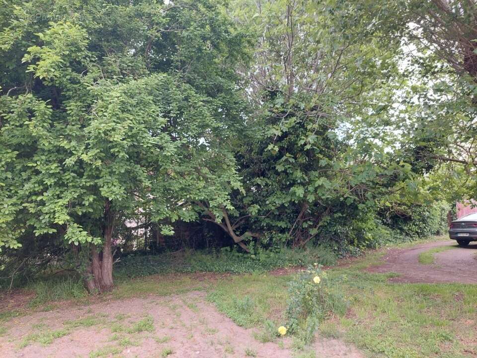 Terrain à LAUNAGUET