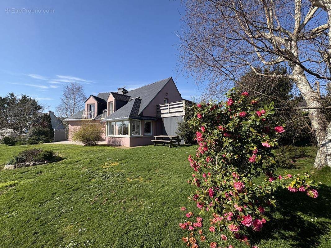 Maison à MOELAN-SUR-MER