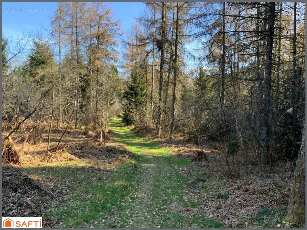 Photo 1 - Terrain à LE THOLY