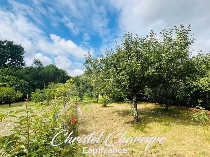 Maison à vendre 8 pièces AIZENAY (85) - photo 17