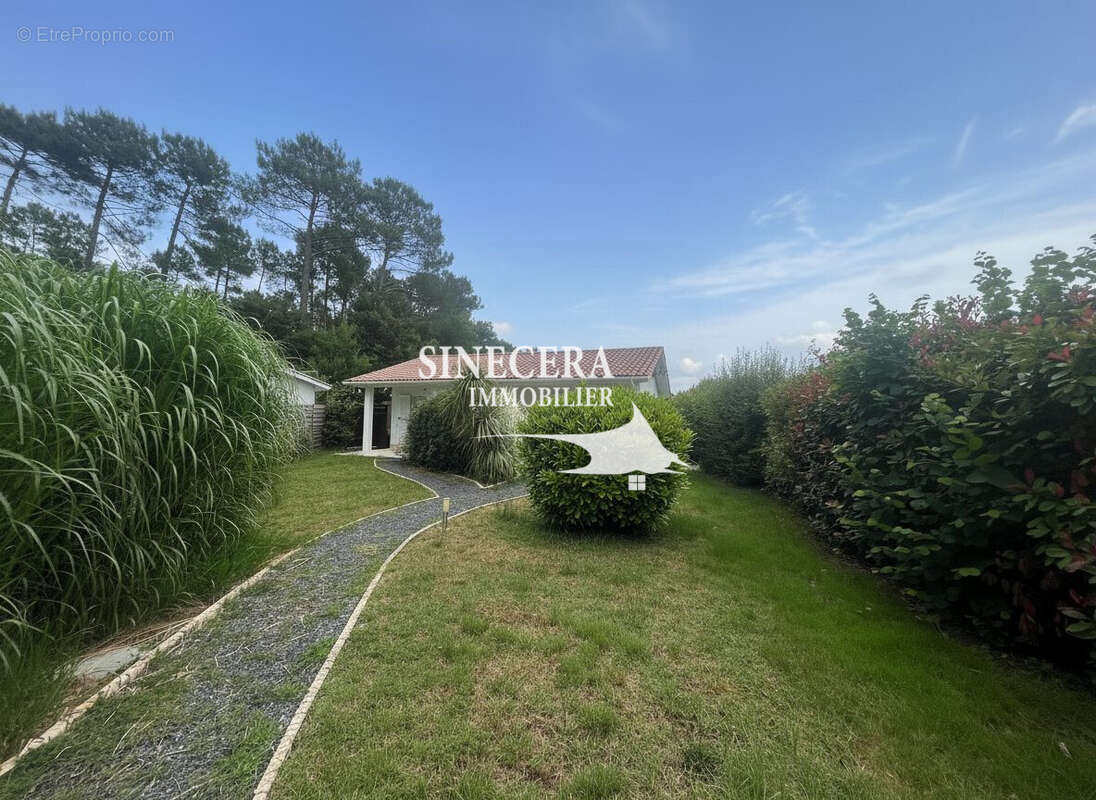 Maison à SANGUINET