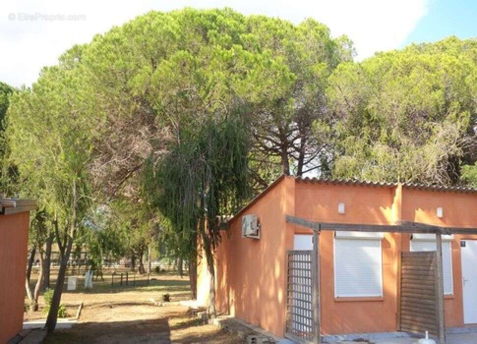 Maison à CASTELLARE-DI-CASINCA