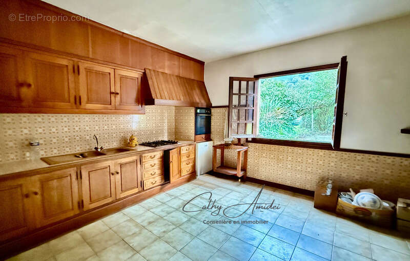 SAGONE (Corse) : Propriete à vendre, maison T4 + dépendance avec 2 appartements T1, sur terrain plat de 5000m2 - photo 9