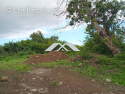 Terrain à SAINT-PAUL