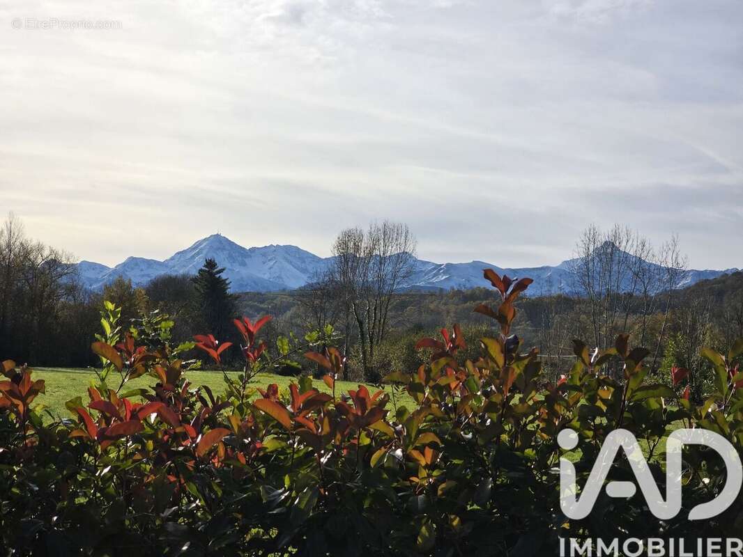Photo 2 - Maison à ARCIZAC-ADOUR
