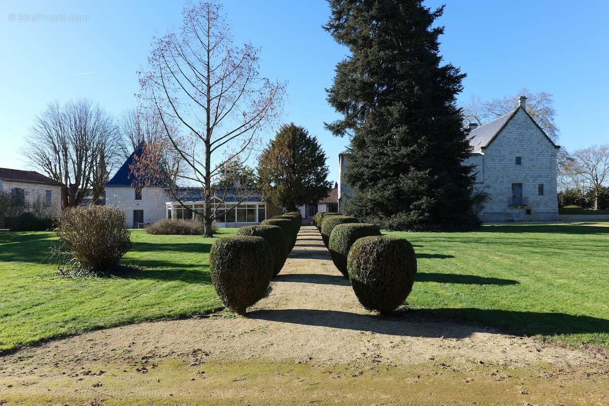 Maison à FONTEVRAUD-L'ABBAYE