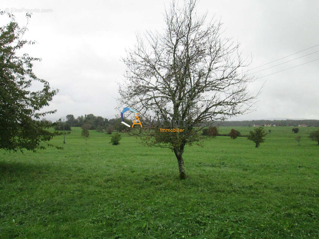 Terrain à LA BRUYERE