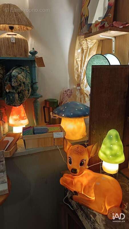 Photo 5 - Commerce à MEZE