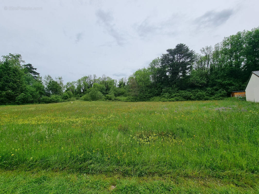 Terrain à LAFFREY