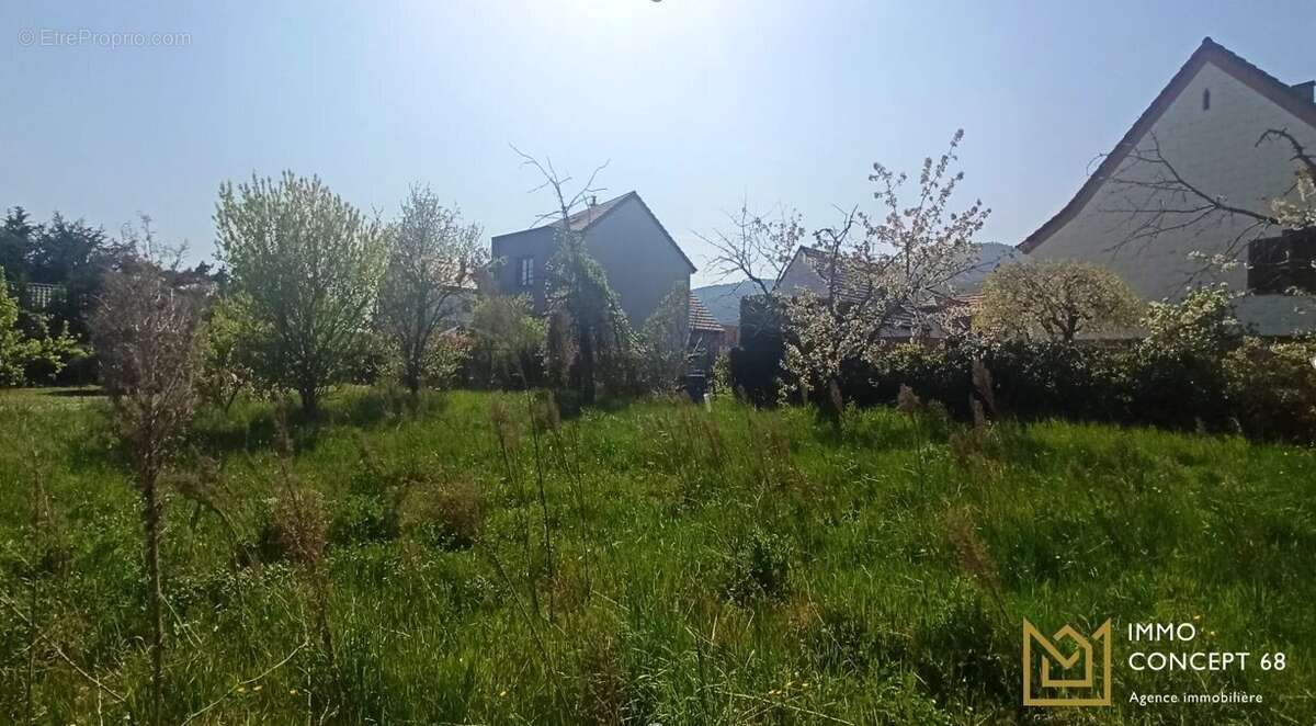 Terrain à WINTZENHEIM