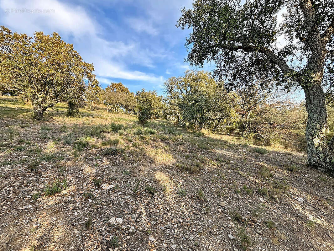 Terrain à CAIXAS